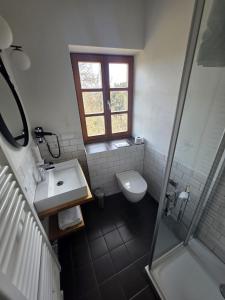 a bathroom with a toilet and a sink and a shower at Zum Schlosswirt in Fürsteneck +23 photos