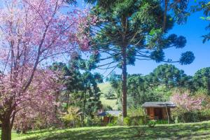a garden with trees and a gazebo at Espaço Gata Mourisca in Camanducaia