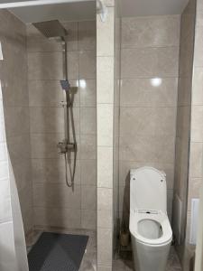 a small bathroom with a toilet and a shower at Sunny Apartment in Otaci