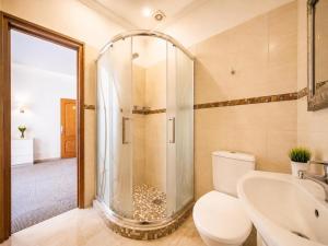 a bathroom with a shower and a toilet and a sink at Nika Apart hotel in Riga