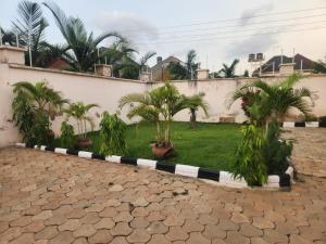 a row of palm trees in a yard next to a building at Afiraiserviceapartment in Kaduna
