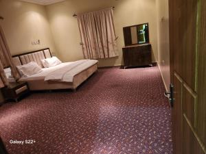 a bedroom with a bed and a television in it at Afiraiserviceapartment in Kaduna