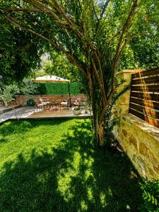 a tree in a yard with a bench and an umbrella at Green Villa 2 in Vlorë