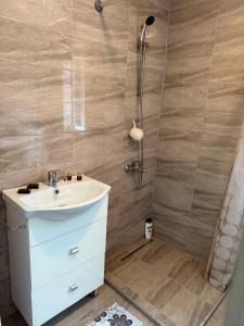 a bathroom with a sink and a shower at Casa David in Mălăeşti