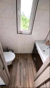 a bathroom with a sink and a toilet and a window at Хата над гуком in Kosiv +3 photos