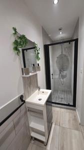a bathroom with a white sink and a shower at Double studio en face a face in Tuchan