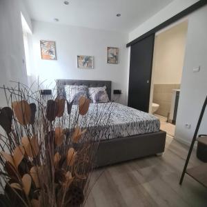 a bedroom with a bed in a room at Double studio en face a face in Tuchan