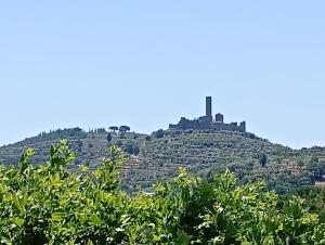 a castle on top of a hill with trees at I leoni di Montecchio in Castiglion Fiorentino