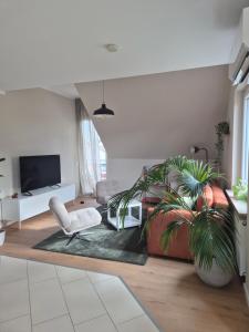 a living room with a couch and a tv at Rebenmeer Wohnung in Roschbach in Roschbach