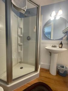 a bathroom with a shower and a sink at Black Lantern B&B in Topsham +32 photos