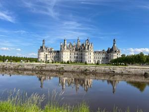 a castle with a reflection in a body of water at Le Clos Colette in Neuvy