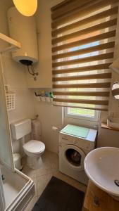 a bathroom with a washing machine and a toilet at Little Paradise - charming apartment in Labin +24 photos