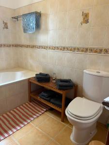 a bathroom with a toilet and a tub and a sink at Quinta dos Lagares in Espadanal