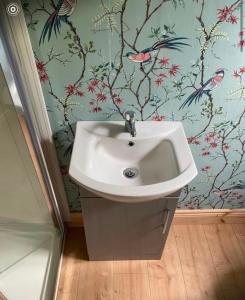 a white sink in a bathroom with bird wallpaper at Meadow Hut in Oughterard