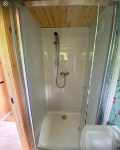 a shower with a glass door in a bathroom at Meadow Hut in Oughterard