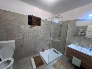 a bathroom with a shower and a toilet and a sink at Casa Angela in Râu de Mori +4 photos