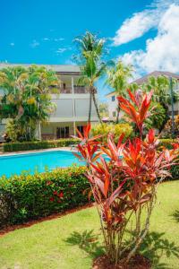 a resort with a swimming pool and palm trees at Savoy Hotel Boutique in Las Terrenas