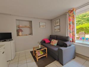 a living room with a couch and a tv at Meublé des Capucins - Cocon & Terrasse Privée in Plombières-les-Bains
