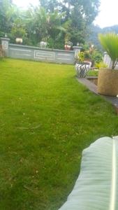 a yard with a green lawn with a fence at Usambara Homes in Manga