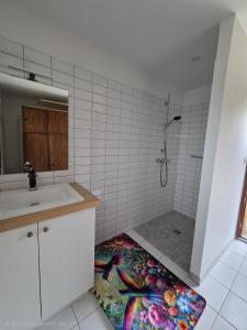 a bathroom with a shower and a colorful rug on the floor at Le ranch de Chant'alouette in Étauliers