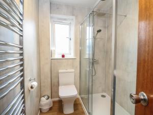 a bathroom with a toilet and a glass shower at Steam Cottage in Aviemore +22 photos