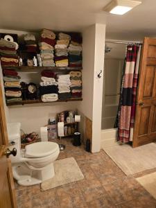 a bathroom with a toilet and a shower at Hideaway from the Twin Cities in Houlton +45 photos