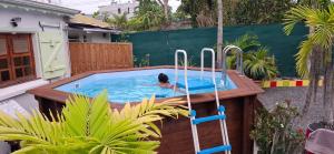 a dog swimming in a pool in a backyard at Méline in Baie-Mahault +6 photos