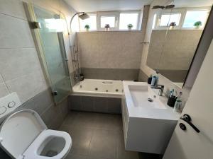 a bathroom with a sink and a toilet and a shower at Tomorowland Woning in Boom in Boom +12 photos