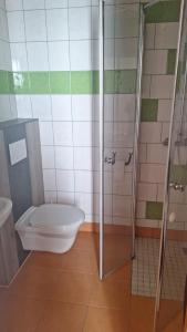 a bathroom with a toilet and a shower at Löwenzahn in Scheibbs