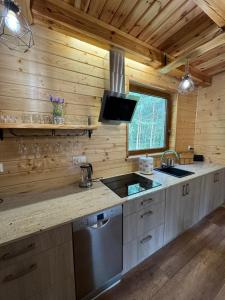 a kitchen with a sink and a stove at Mazurski lasek in Szwejkowo