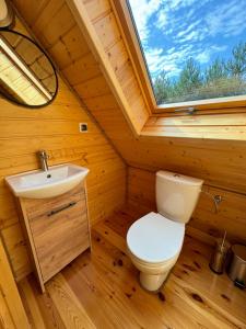 a bathroom with a toilet and a sink at Mazurski lasek in Szwejkowo +8 photos