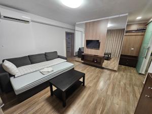 a living room with a couch and a flat screen tv at Casa Toni in Bistriţa