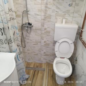 ein Badezimmer mit weißer Toilette und Dusche in der Unterkunft Salvatori in Garić
