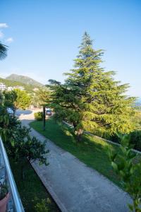 a tree on the side of a sidewalk next to a street at Hotel Palasa in Palasë