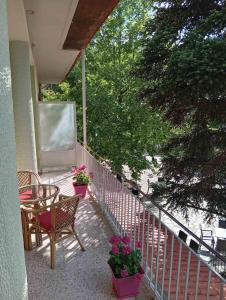 a porch with a table and chairs and flowers at FANTINO HOTEL in Domnista
