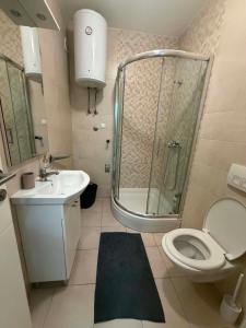 a bathroom with a shower and a toilet and a sink at Apartman 14 in Doboj