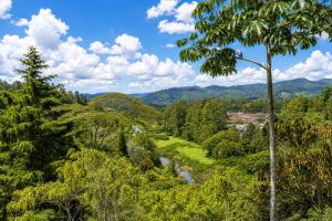 a view of a valley with a river and trees at Verso el Retiro in El Retiro