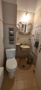 a bathroom with a toilet and a sink and a mirror at Triantafillies Traditional Hotel in Portaria
