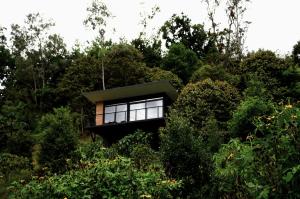a house in the middle of the forest at Cabaña Guane in Pacho