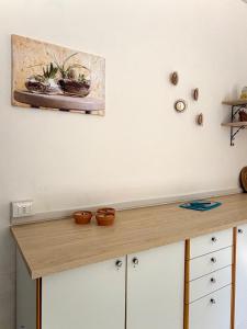 a kitchen counter with a painting on the wall at Little fox in Miglianico
