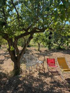 two chairs and a swing under a tree at Little fox in Miglianico +14 photos
