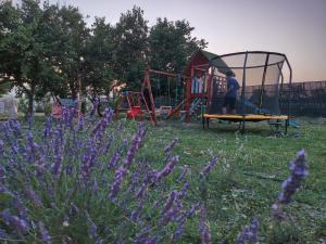 a man standing on a playground in a field with purple flowers at Taram de Poveste in Corbu