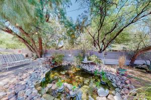 a garden with a pond with rocks and trees at Historic on 5th in Tucson