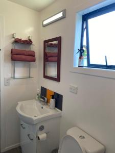 a bathroom with a sink and a toilet and a mirror at Pickmere Oasis in Kerikeri