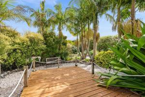 a wooden walkway with palm trees and a bench at Pickmere Oasis in Kerikeri