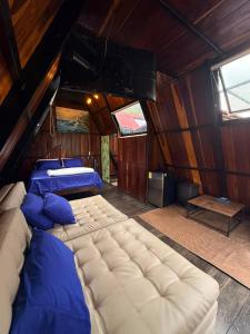 a room with two beds and a tv in it at AJ EcoGlamping in Santo Domingo +8 photos