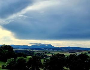 Blick auf ein Feld mit Bäumen und Bergen in der Unterkunft alumbia in Petriolo