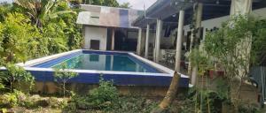 a swimming pool in front of a house at Ali's Homestay in Pacific Harbour