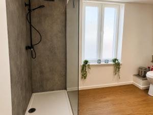 a bathroom with a shower with a window and a toilet at Chic vintage apartment in Spa in Spa +16 photos