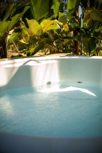 a bath tub filled with water in front of plants at Vilarejo in Belém